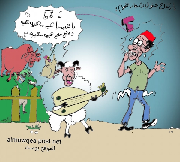غلاء اللحوم الجنوني في عيد الأضحى باليمن