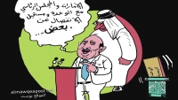 الإمارات والمجلس الرئاسي