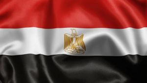 هيومن رايتس: مصر تتحول إلى سجن