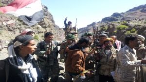 الضالع: المقاومة تقصف تجمعات للحوثيين في جبل ناصه بمريس