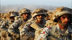 ماذا يعني استدراك قرقاش وتأكيده استمرار القوات الإماراتية في اليمن؟ (تقرير خاص)