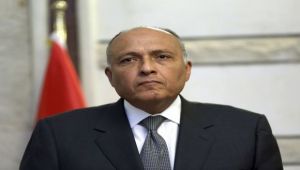 صحيفة إسرائيلية تصف وزير خارجية مصر بـ«الصهيوني الجديد»