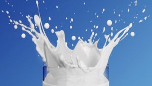 5 أفكار شائعة خطأً عن الحليب