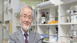 "نوبل للطب" من نصيب عالم ياباني.. فما اكتشافه؟
