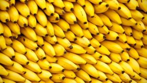 فاكهة الموز مهددة بالإنقراض