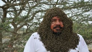 "نحال" سعودي يجمع أكثر من 20 ألف نحلة حول وجهه