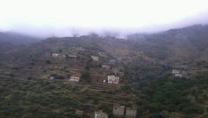 تعز.. مقتل خمسة حوثيين والجيش الوطني يحبط تسللًا للمليشيا في مناطق بالصلو