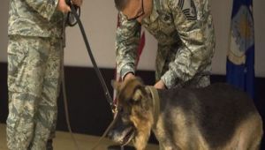 قاعدة عسكرية دولية بتركيا تحتفل بتقاعد كلب.. خدم سلاح الجو الأميركي 7 سنوات