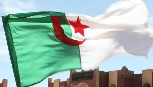 بـ22 مناورة قتالية.. الجزائر تتأهب لمخاطر داخلية وخارجية