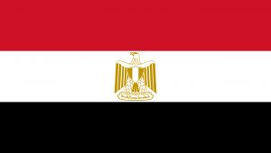 مصر تعبر عن خيبة أملها من تقرير المفوض السامي الخاص باليمن