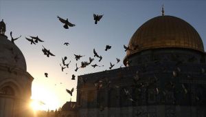 علماء مسلمون يدعون إلى مواجهة "التطبيع السياسي" مع إسرائيل
