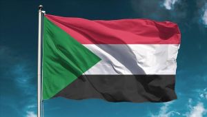قيادي بالحزب الحاكم في السودان ينفي تواجد قيادات من "إخوان مصر" ببلاده