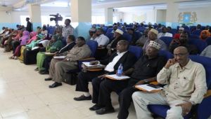 البرلمان الصومالي يمنع موانئ دبي من العمل في البلاد‎