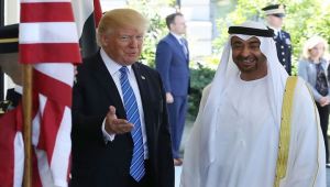 مسؤول أمريكي عن ترامب: الإمارات تعرقل حل الأزمة الخليجية