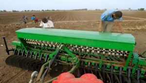 قطر تستثمر نصف مليار دولار في الزراعة بالسودان