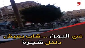 يمني يعيش في شجرة .. تعرف على قصته (فيديو خاص)