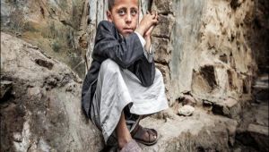 "سام" تصدر تقريرها السنوي "الأرض المنسية" 2 لحقوق الإنسان في اليمن