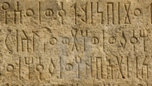 اللغة اليمنية القديمة.. لماذا تتصاعد المطالب في اليمن لإعادة إحيائها؟