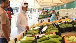بالأرقام.. الزراعة المحلية في قطر تحقق تقدماً ملحوظاً