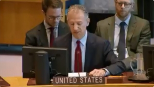 مندوب أمريكا لدى مجلس الأمن يدعو الحوثيين إلى جدية الالتزام باتفاق ستوكهولم