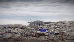 "أمهات المختطفين" تحمل التحالف مسؤولية قصف سجن كلية المجتمع بذمار