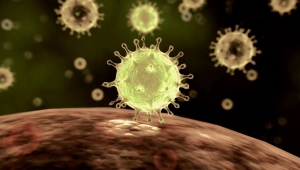 بالفيديو.. تعرف على طبيعة فيروس كورونا وأعراضه ومخاطره