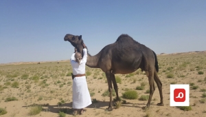 رحلة إلى الصحراء.. تكشف تفاصيل عن الشيخ علي سالم الحريزي في المهرة