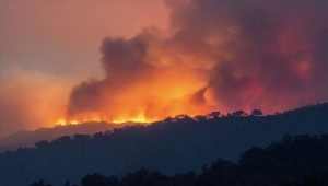 20 بؤرة يوميا.. حرائق بغابات الجزائر تؤرق السلطات