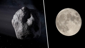 هل يهددنا اقتراب الكويكب "إي إس 4" يوم الأول من سبتمبر؟