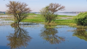 يشهد أصعب فيضاناته منذ عقود.. تعرّف على تاريخ فيضانات النيل المهلكة
