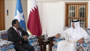 أمير قطر يبحث مع رئيس الصومال تعزيز العلاقات والتطورات الإقليمية