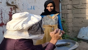 صناعة العسل القديمة في اليمن معرضة للخطر بسبب النزاعات وتغيّر المناخ (ترجمة خاصة)