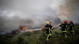 أكثر من 1700 وفاة في إسبانيا والبرتغال بسبب موجة الحر