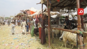 اليمنيون بين الحرمان والشتات.. عيد أضحى بلا أضحية وأسعار المواشي فوق قدرات المواطنين (تقرير)