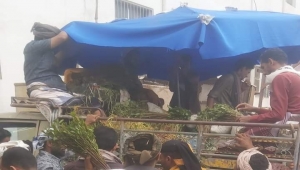نبتة "القات الهرري" الأثيوبي في أسواق عدن تُشعل حالة من الجدل