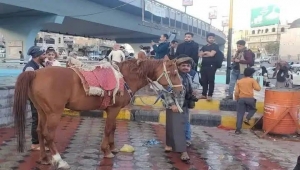 التصوير في صنعاء... مهنة تكافح للبقاء