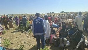 "الهجرة الدولية": 35 ألف نازح من شمال كردفان خلال 4 أيام