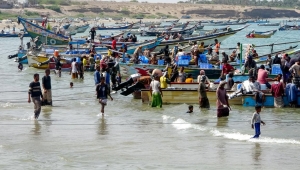 التهريب ينعكس كارثة على موسم الحبّار في اليمن