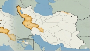 المجلس العربي يحذر من اتساع الحرب في الشرق الأوسط ويدعو لوقف فوري للهجمات على إيران