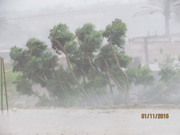 اعصار تشابالا يرحل عن جزيرة سقطرة مخلفاً وراءه كوارث مروعة (صور)