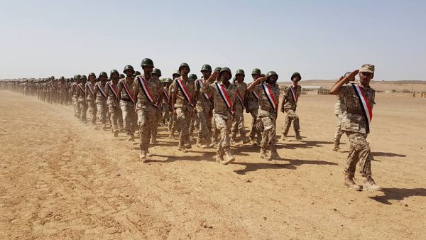 المقدشي يعلن جاهزية الجيش لتحرير صنعاء (صور)