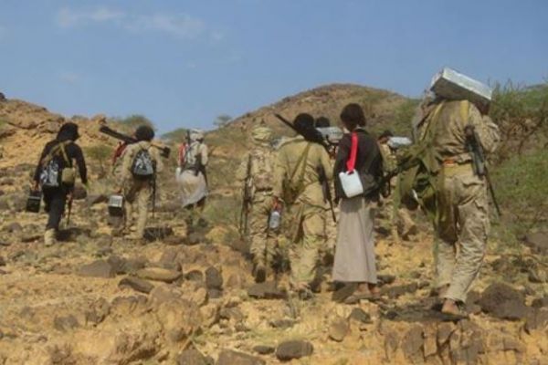 مقتل وجرح العشرات من الحوثيين في هجوم موسع للجيش الوطني بصرواح مأرب