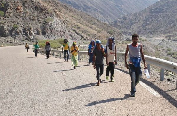 الأمم المتحدة: أكثر من 100 ألف افريقي هربوا إلى اليمن