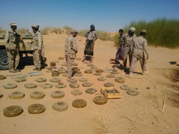 شبوة: وحدات الجيش تتلف كميات من الألغام زرعتها ميليشيات الحوثي والمخلوع (صور)