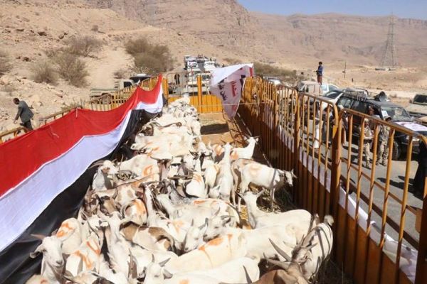 أبناء محافظة عمران يسيّرون قافلة غذائية دعما للجيش الوطني في جبهة نهم (صور)