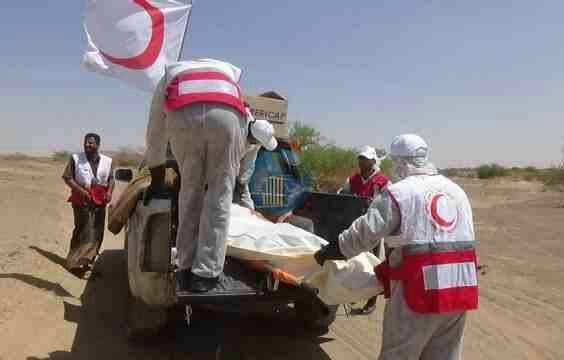 الصليب الأحمر ينتشل 8 جثث لقتلى حوثيين في صرواح غرب مأرب
