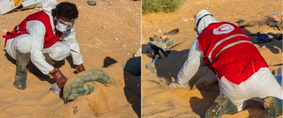 السلطات الليبية تعثر على جثث 19 مصرياً بصحراء طبرق