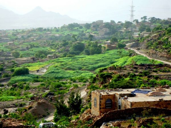تعز.. مليشيا الحوثي تستهدف القرى السكنية بالصلو بصواريخ الكاتيوشا