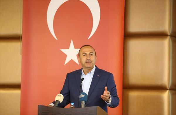 وزير خارجية تركيا ردا على قرقاش: ليس لدينا هوس قيادة العرب