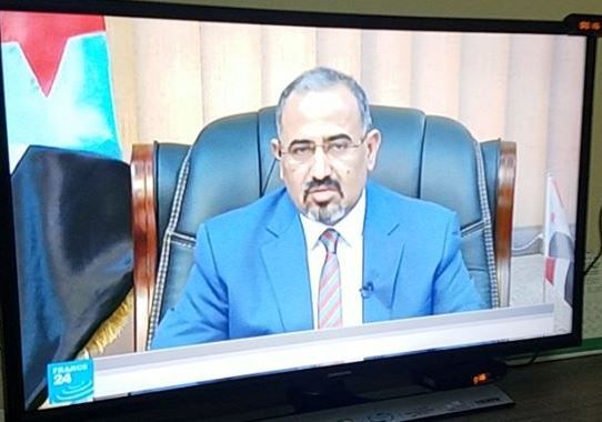 عيدروس الزبيدي يؤكد دعمه لطارق صالح ويرفض أي تواجد للقوات الشمالية بالجنوب